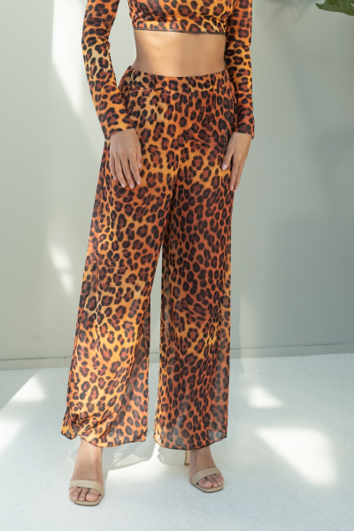 BBBSPFPAJULY25LGCBRW_MCLTIV1ZS_2025378563001_20240902140808569