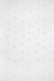 RosePetal Lingerie Collection AW2012 (37)