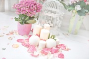 RosePetal Lingerie Collection AW2012 (39)