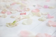 RosePetal Lingerie Collection AW2012 (40)