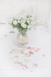 RosePetal Lingerie Collection AW2012 (43)