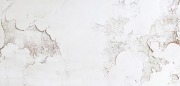 RosePetal Lingerie Collection SS2013 (14)