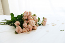 RosePetalSS2017 (9)